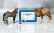 S6131 SureFood® ANIMAL ID 4plex Верблюд/Лошадь/Осёл+IAAC тест система заказать оптом в Москве