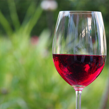 Брожение красного вина тесты
