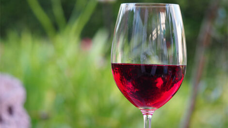 Брожение красного вина тесты
