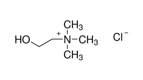 PHR1251 Хлорид холина, Supelco